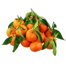 Spaanse mandarijnen met blad